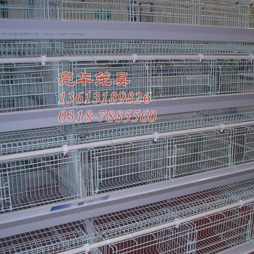 鸡笼鸽笼兔笼子母兔笼商品兔笼蛋鸡笼 鸡养殖中的笼具选择与管理指南