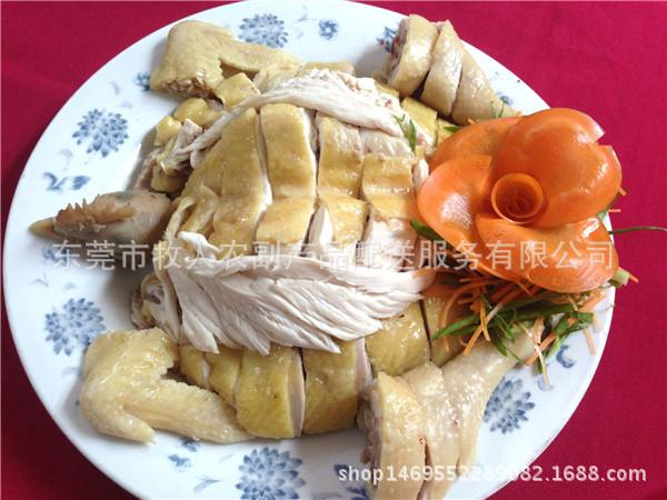 广东三黄鸡批发 冷鲜高品质，特价供应中的鲜美之选